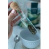 Infuseur Clarethé