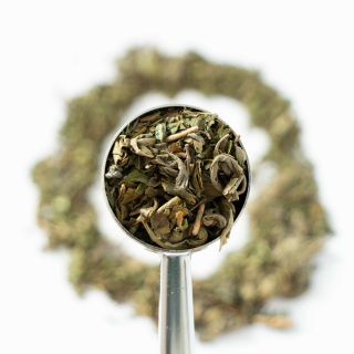 Subtilithé : thé vert parfumé à la menthe