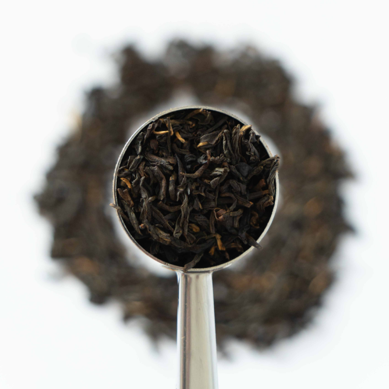 Simplicithé noire : thé noir Lapsang Souchong